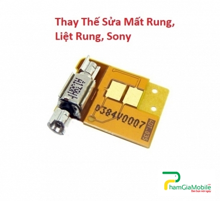 Thay Thế Sửa Mất Rung, Liệt Rung, Sony Xperia XZ3